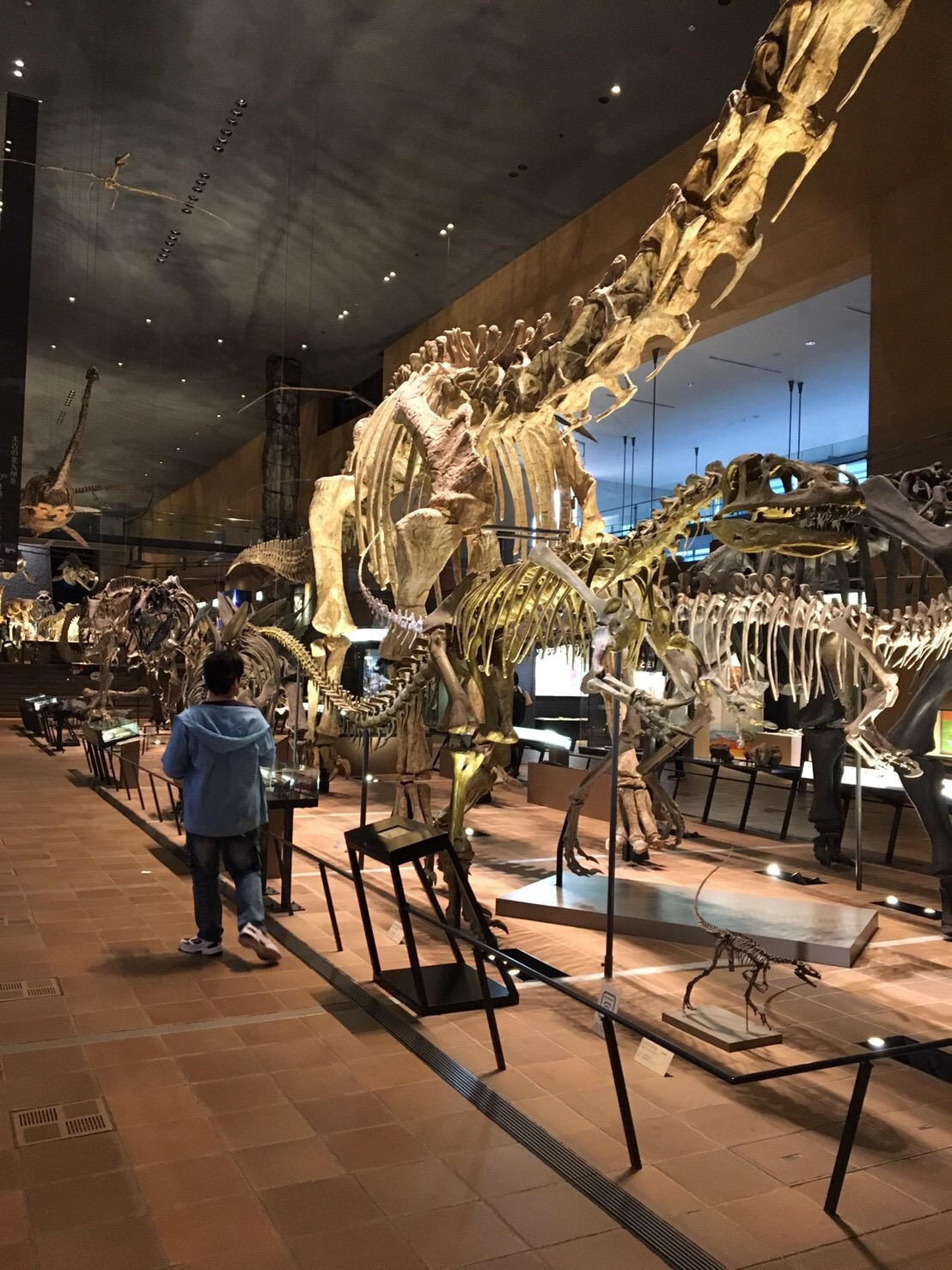 いのちのたび博物館で恐竜に感動する 福岡県糟屋郡の放課後等デイサービス施設ならcocoぱれっとぷらす